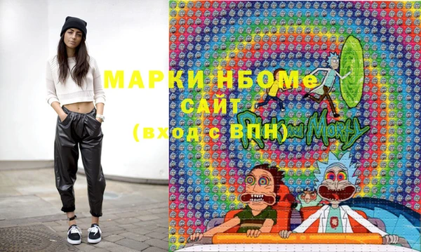 индика Вязники